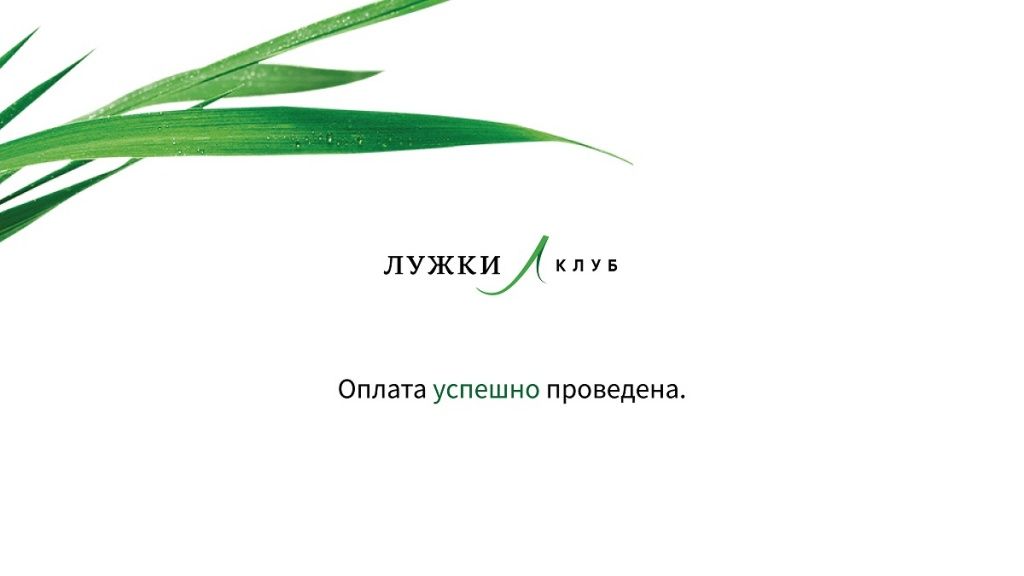 Оплата успешно проведена